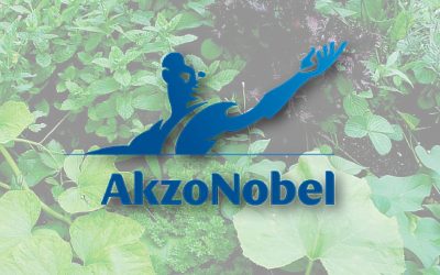 13 mei Werkdag met AKZO NOBEL