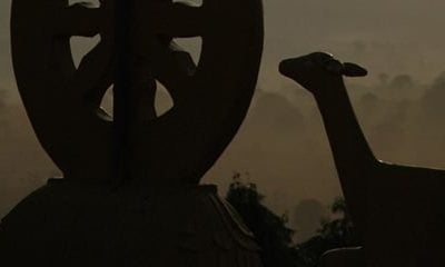 Gezondheidsdag Vitaliteit en Voeding