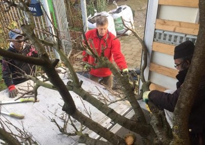 Verhuizing boom Stadsboerderij Osdorp 2 - Voorbereidingen winter