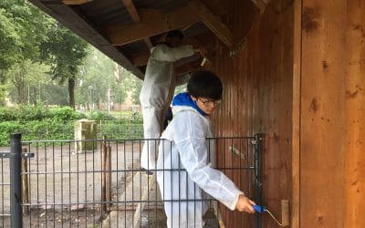 Na de zomer komt de herfst