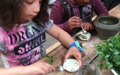 Kerstvakantie Activiteiten