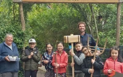 Hoe gaat het op de boerderij – deel 2 –