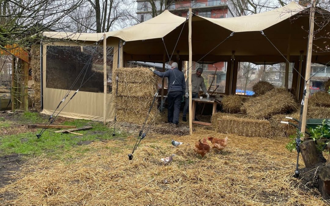 Hoe gaat het op de boerderij – 11 maart 2022